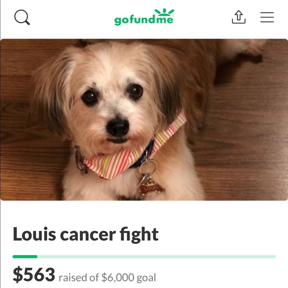 PLEASE HELP WITH LOUIS CANCER FIGHT